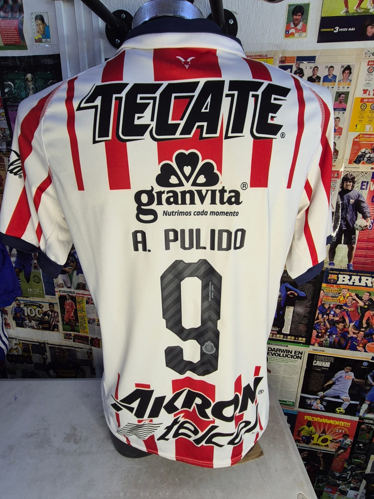 Chivas Local 2018-2019 Versión Jugador